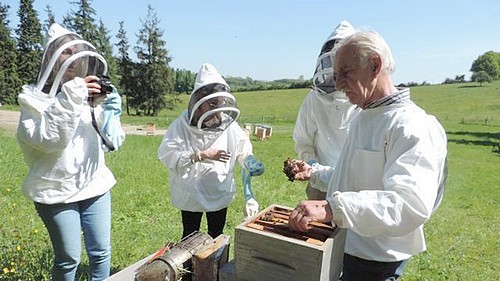 Travaux d’été