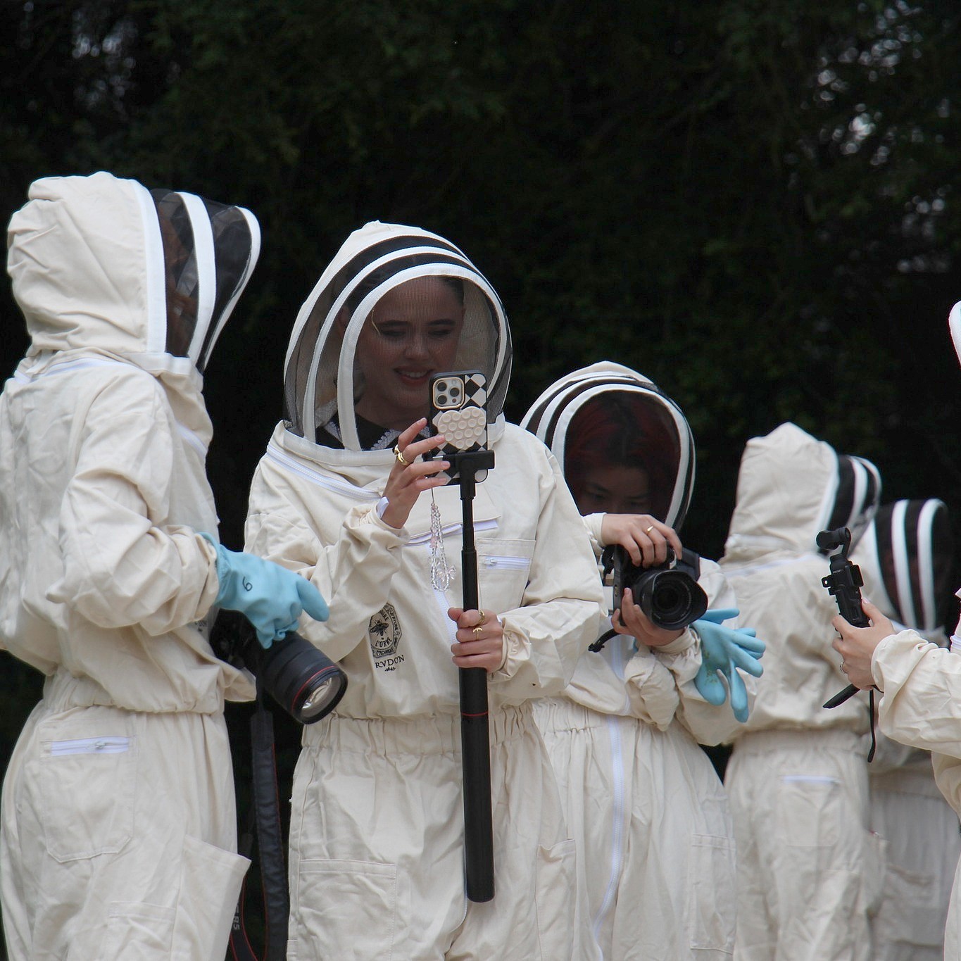 You are currently viewing Quand les influenceurs découvrent l’abeille noire